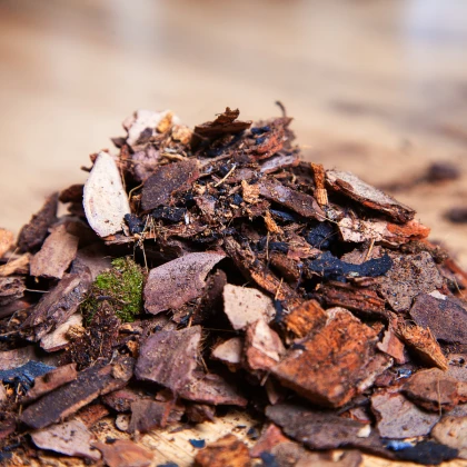 Substrát pro orchideje - speciální substrát - 100 g