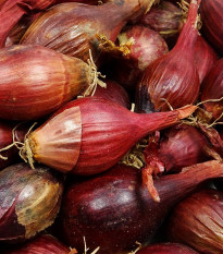 BIO Cibule sazečka Red Baron - Allium cepa - bio cibulky - 50 ks