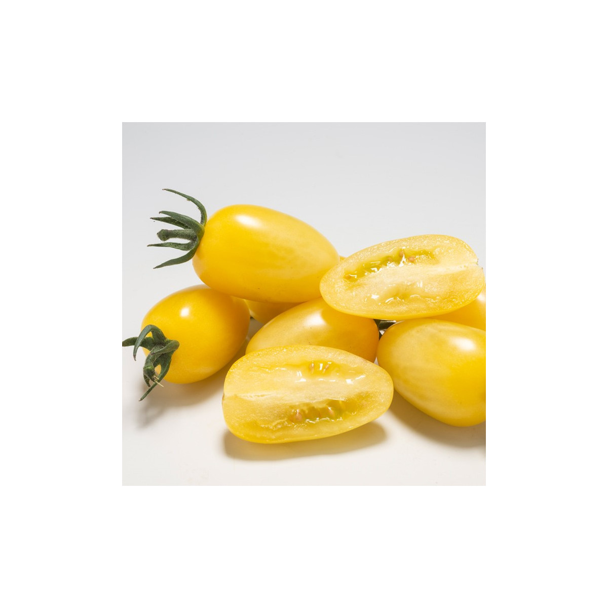 Rajče Dattolime F1 - Solanum lycopersicum - semena rajčete - 6 ks