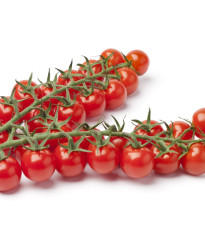 Rajče Gourmelito F1 - Solanum lycopersicum - semena rajčete - 6 ks