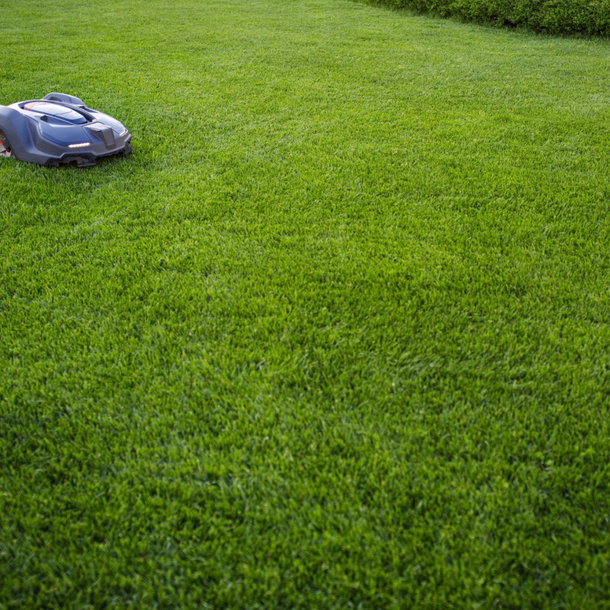 Trávník Comfort pro robotické sekačky - semena Kiepenkerl - 2 kg