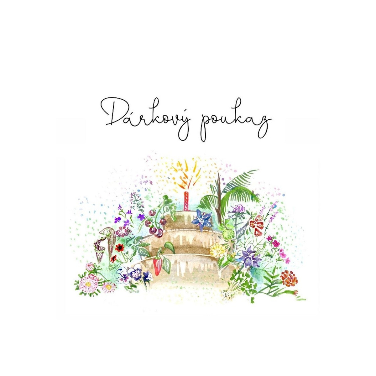 Voucher k narozeninám v hodnotě 750,- Kč