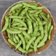 BIO Sója Edamame Chiba Green - Glycine max - bio semena sóji - 20 ks