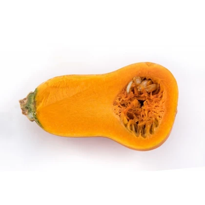 Dýně máslová Honeynut - Cucurbita moschata - semena dýně - 6 ks