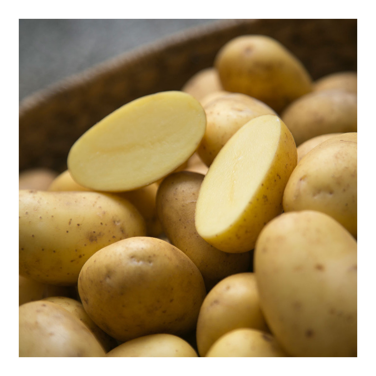 Sadbové brambory Belana - Solanum tuberosum - Kiepenkerl - 10 ks