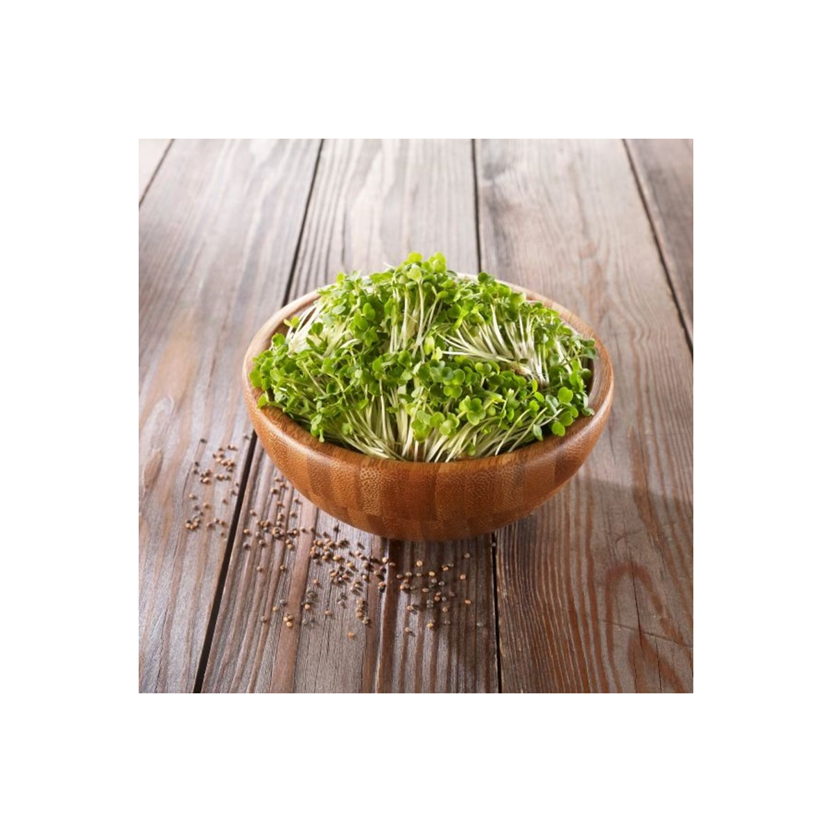 BIO Rukkola - bio csíráztatásra szánt magok - 50 g