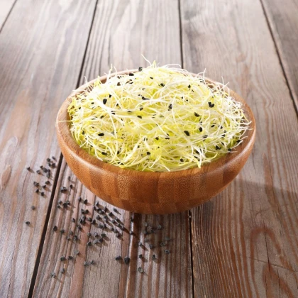 BIO Cibule - bio semena na klíčení - 15 g