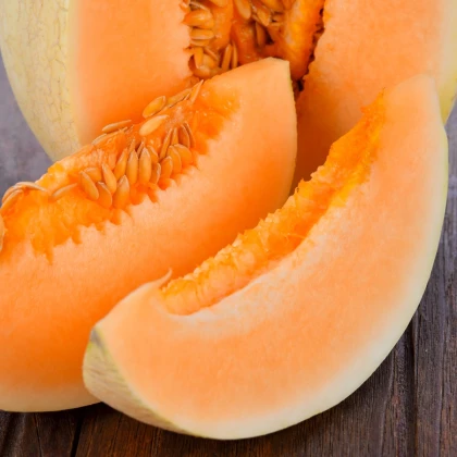 BIO Meloun cukrový Sweet Granite - Cucumis melo - bio semena melounu - 10 ks