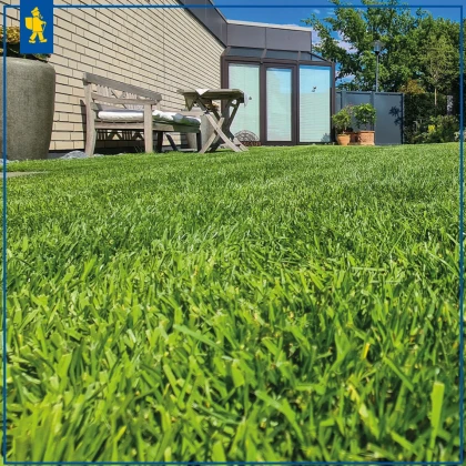 Comfort gyep robotfűnyírókhoz – fűmag – Kiepenkerl