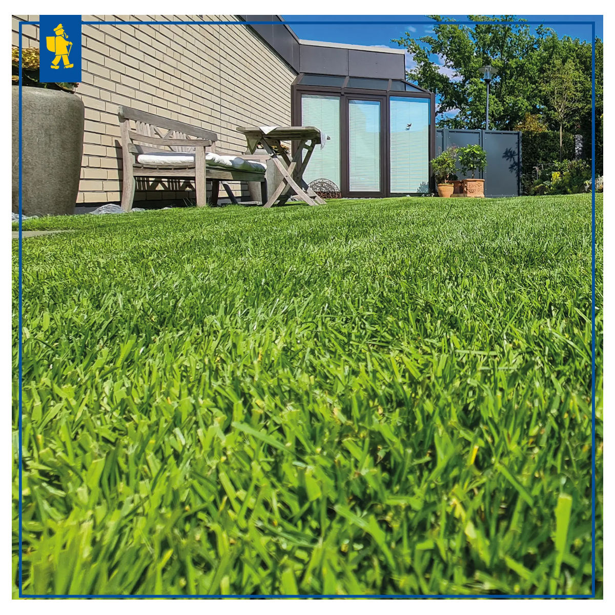 Comfort gyep robotfűnyírókhoz – fűmag – Kiepenkerl