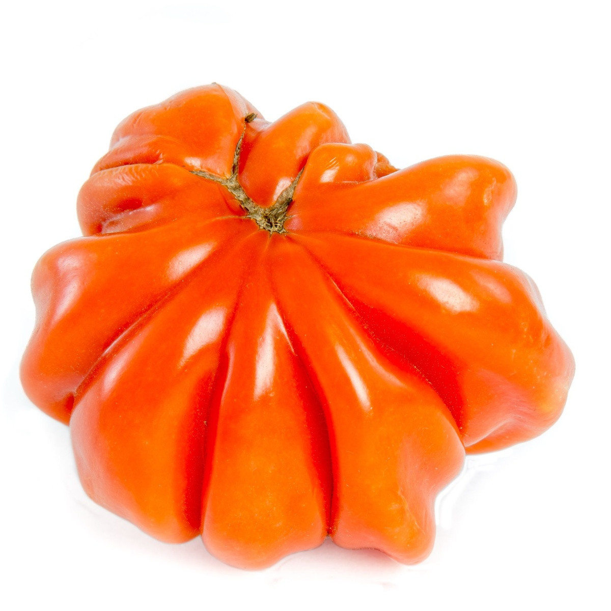 Rajče Coure di Bue - Solanum lycopersicum - semena rajčete - 10 ks