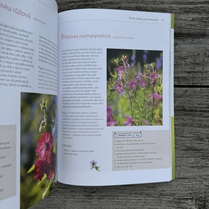 Moje motýlí zahrada - kniha - 1 ks