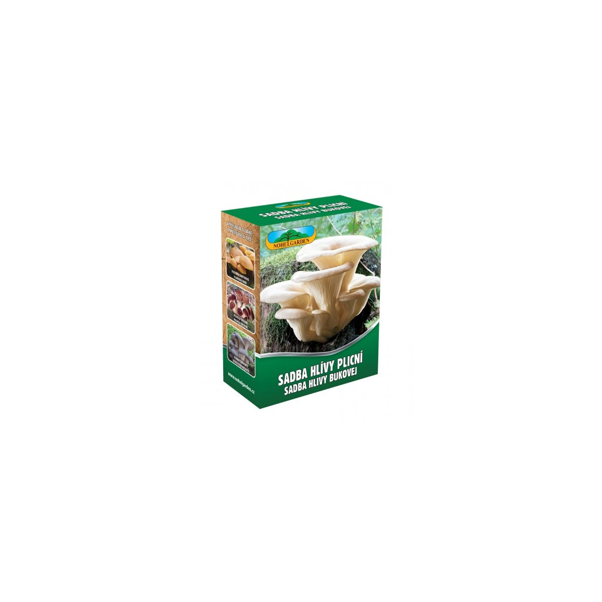 Hlíva plicní - Pleurotus pulmonarius - sadba - 250 ml