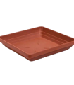 Podmiska Lotos terakota - 14 x 14 - 1 ks
