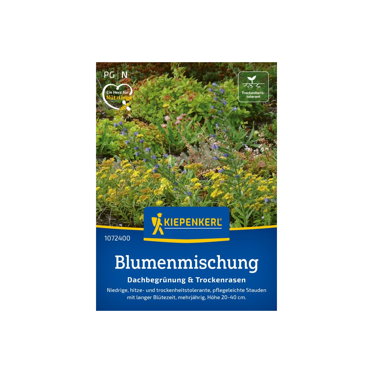 Směs květin - Zelená střecha a suchá místa - semena Kiepenkerl - 1 ks