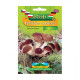 Sadba Polnička topolová - Agrocybe aegerita - sadba - 1 ks