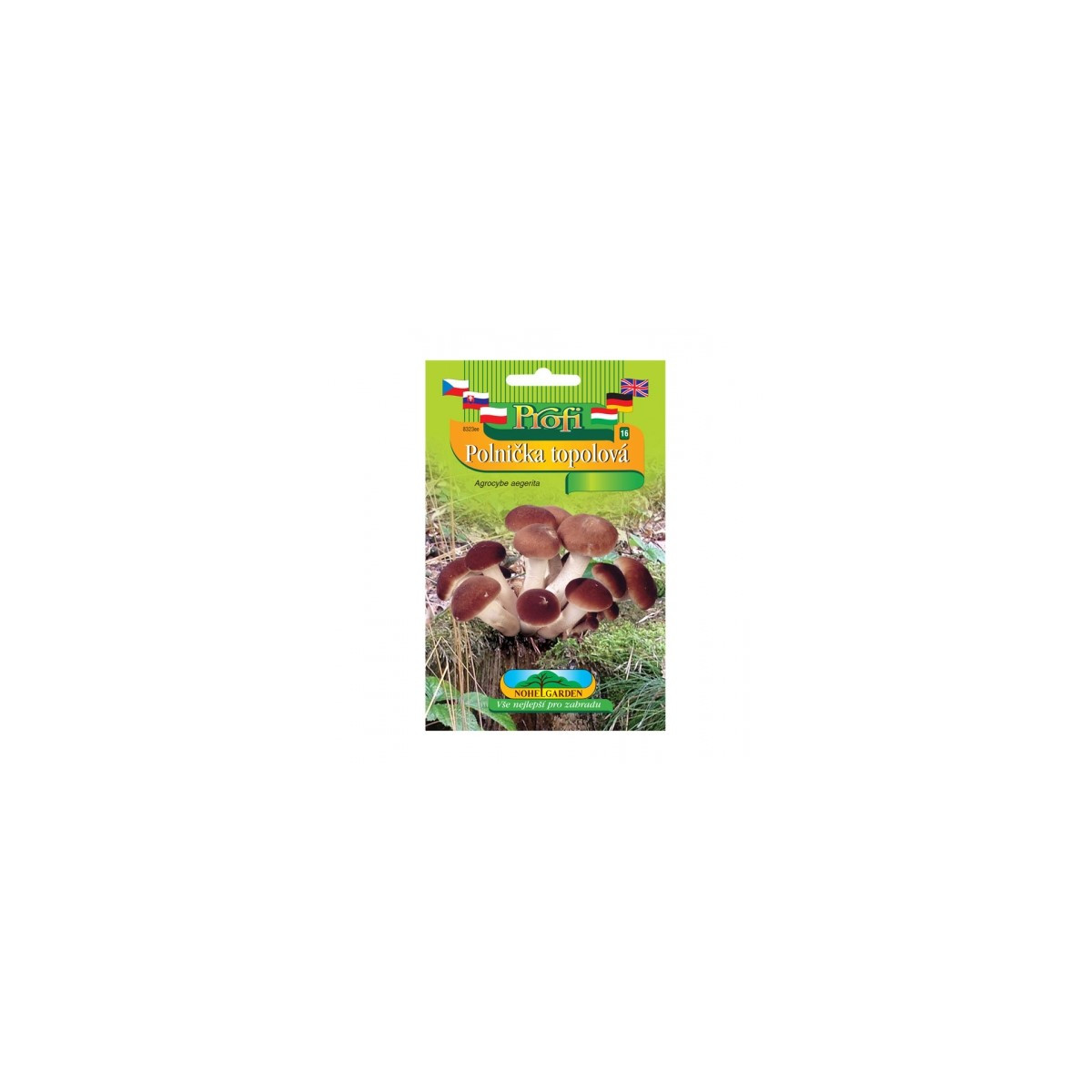 Sadba Polnička topolová - Agrocybe aegerita - sadba - 1 ks