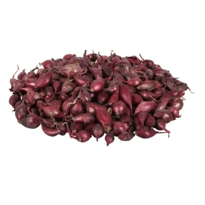 Cibule sazečka Romy - Allium cepa - cibulky - 500 g