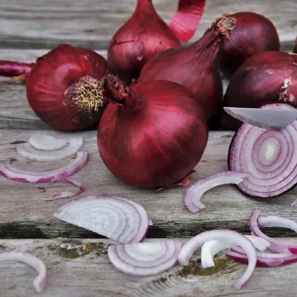 Cibule sazečka Romy - Allium cepa - cibulky - 250 g