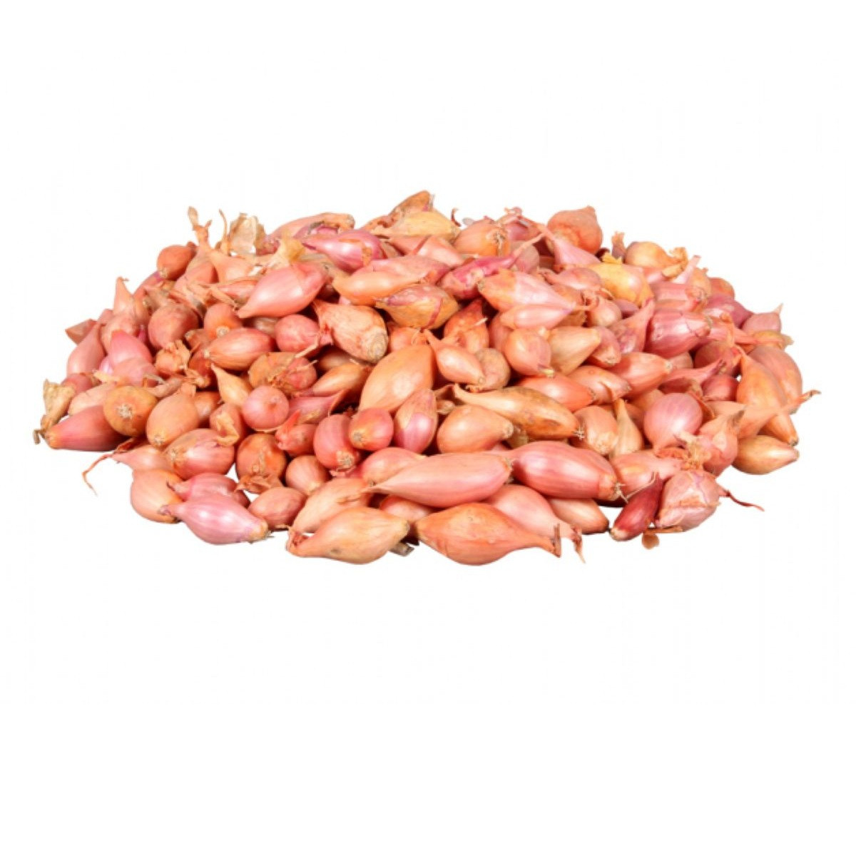 Cibule sazečka Rosanna - Allium cepa - cibulky - 500 g