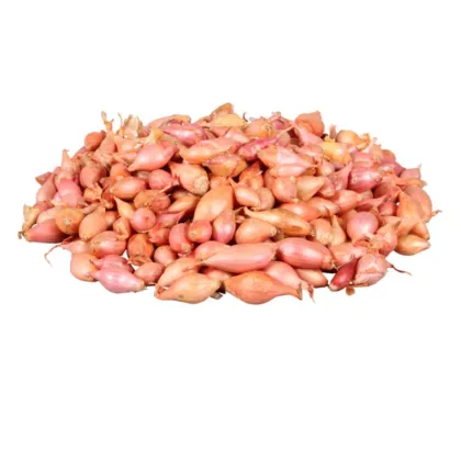 Cibule sazečka Rosanna - Allium cepa - cibulky - 250 g