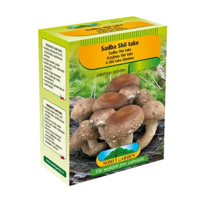 Sadba Shii take - Houževnatec jedlý - Lentinula edodes - sadba - 250 ml
