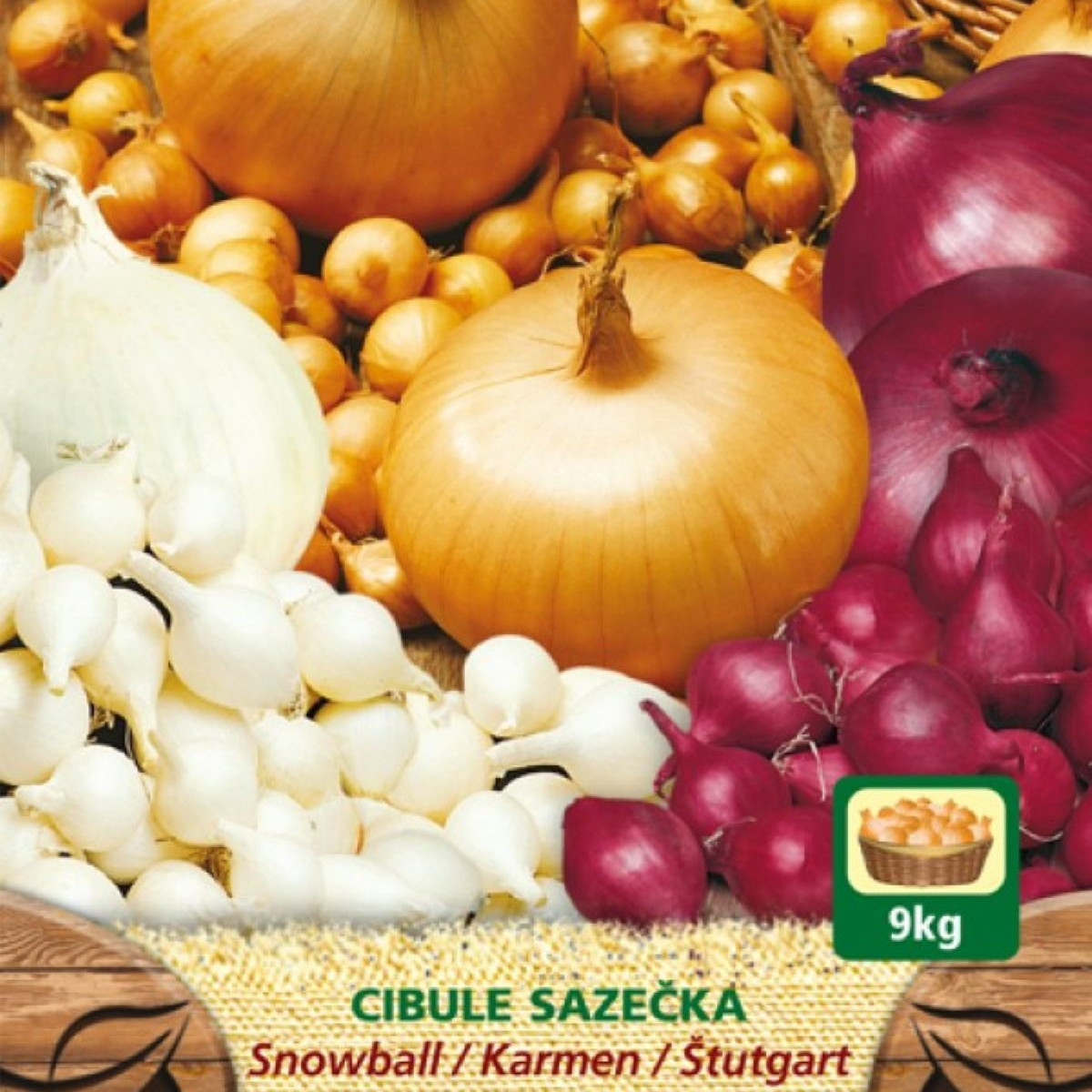 Směs sazeček - Snowball, Karmen, Štutgart - Allium cepa - 150 g
