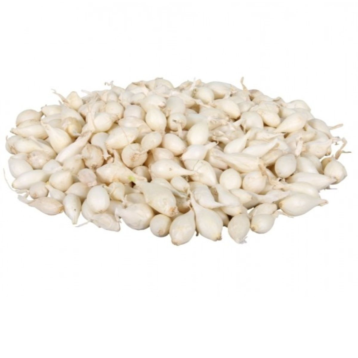 Cibule sazečka Snowball - Allium cepa - cibulky - 250 g