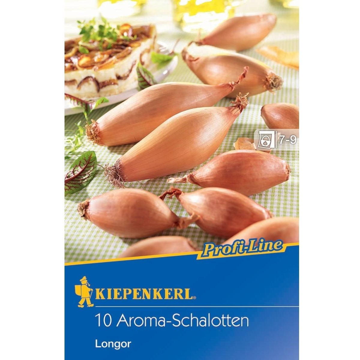 Cibule šalotka Longor - Allium cepa - cibulky - 10 ks