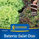 Batavia salát duo Florine & Rossia - výsevný pásek - Kiepenkerl  - 1 ks