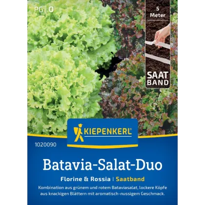 Batavia salát duo Florine & Rossia - výsevný pásek - Kiepenkerl  - 1 ks