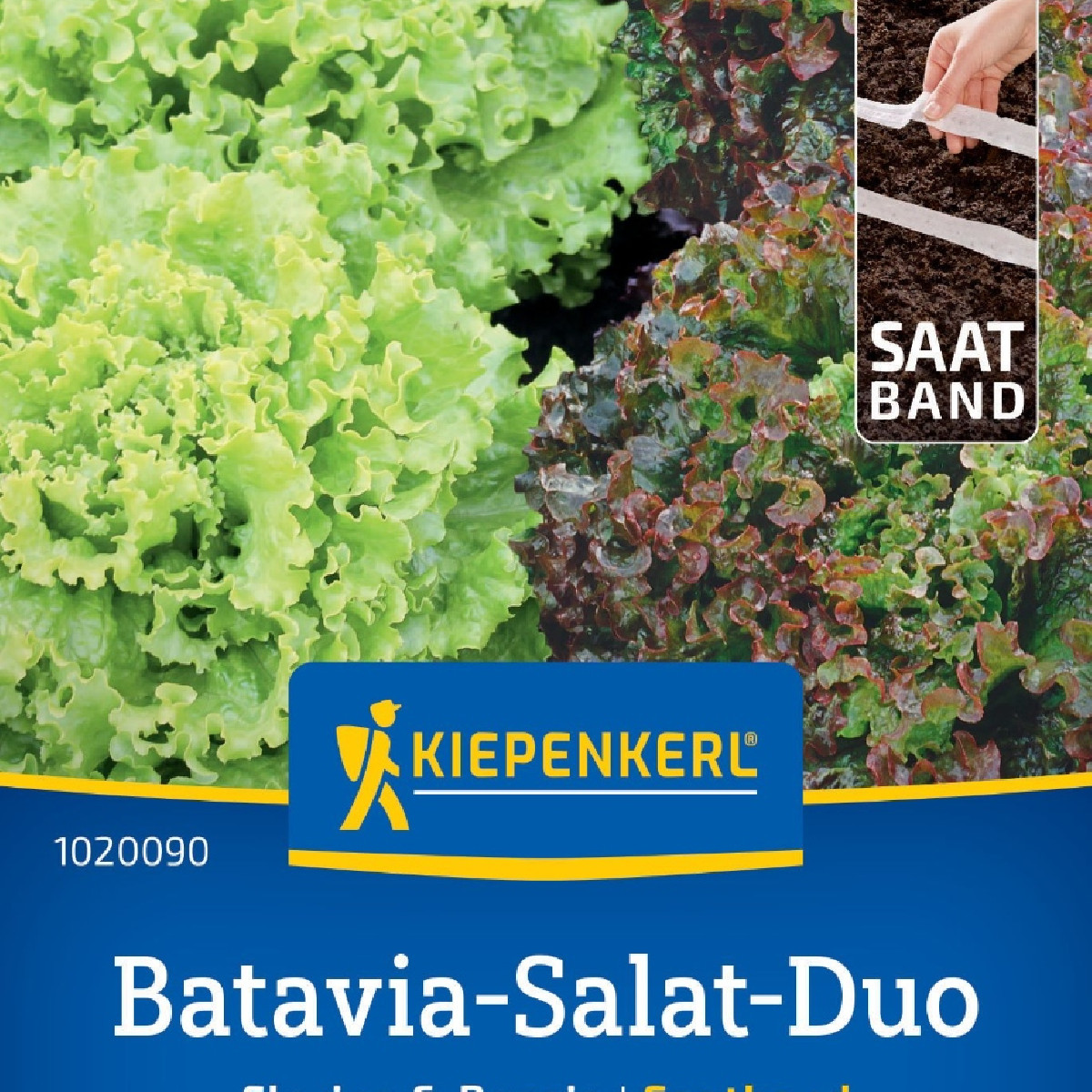 Batavia salát duo Florine & Rossia - výsevný pásek - Kiepenkerl  - 1 ks