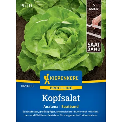 Salát Analena - výsevný pásek - Kiepenkerl  - 1 ks