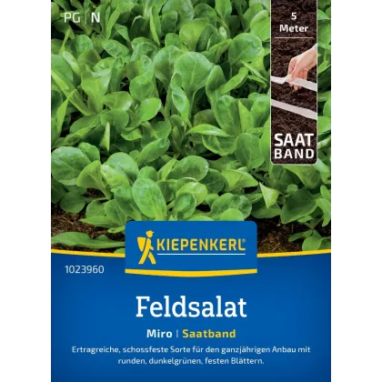 Salát Miro - výsevný pásek - Kiepenkerl  - 1 ks