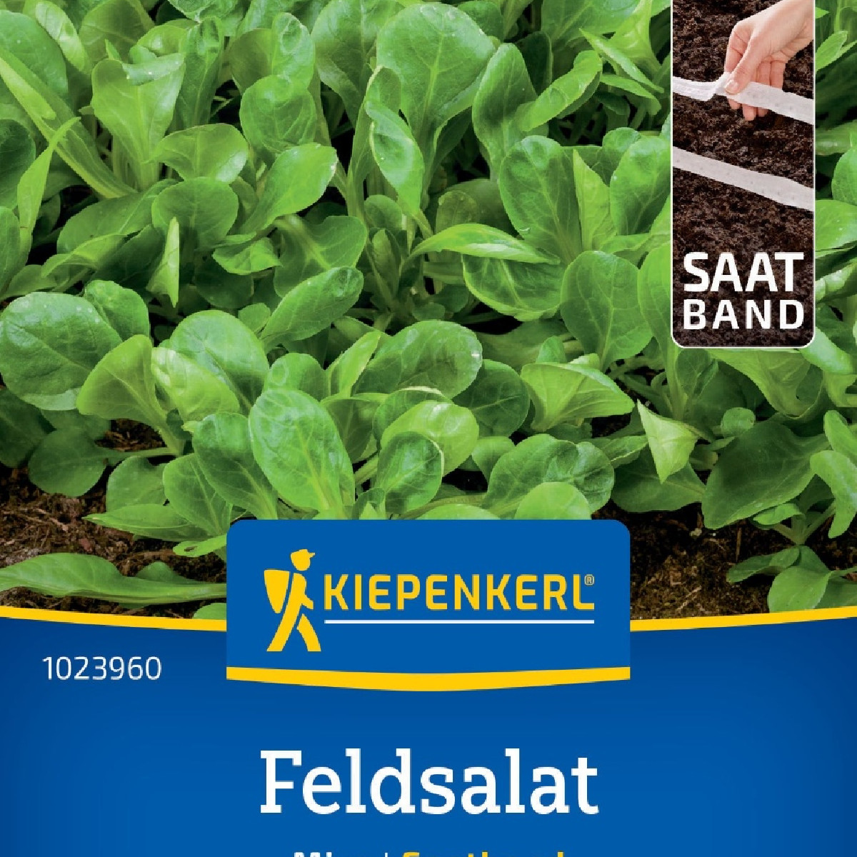 Salát Miro - výsevný pásek - Kiepenkerl  - 1 ks