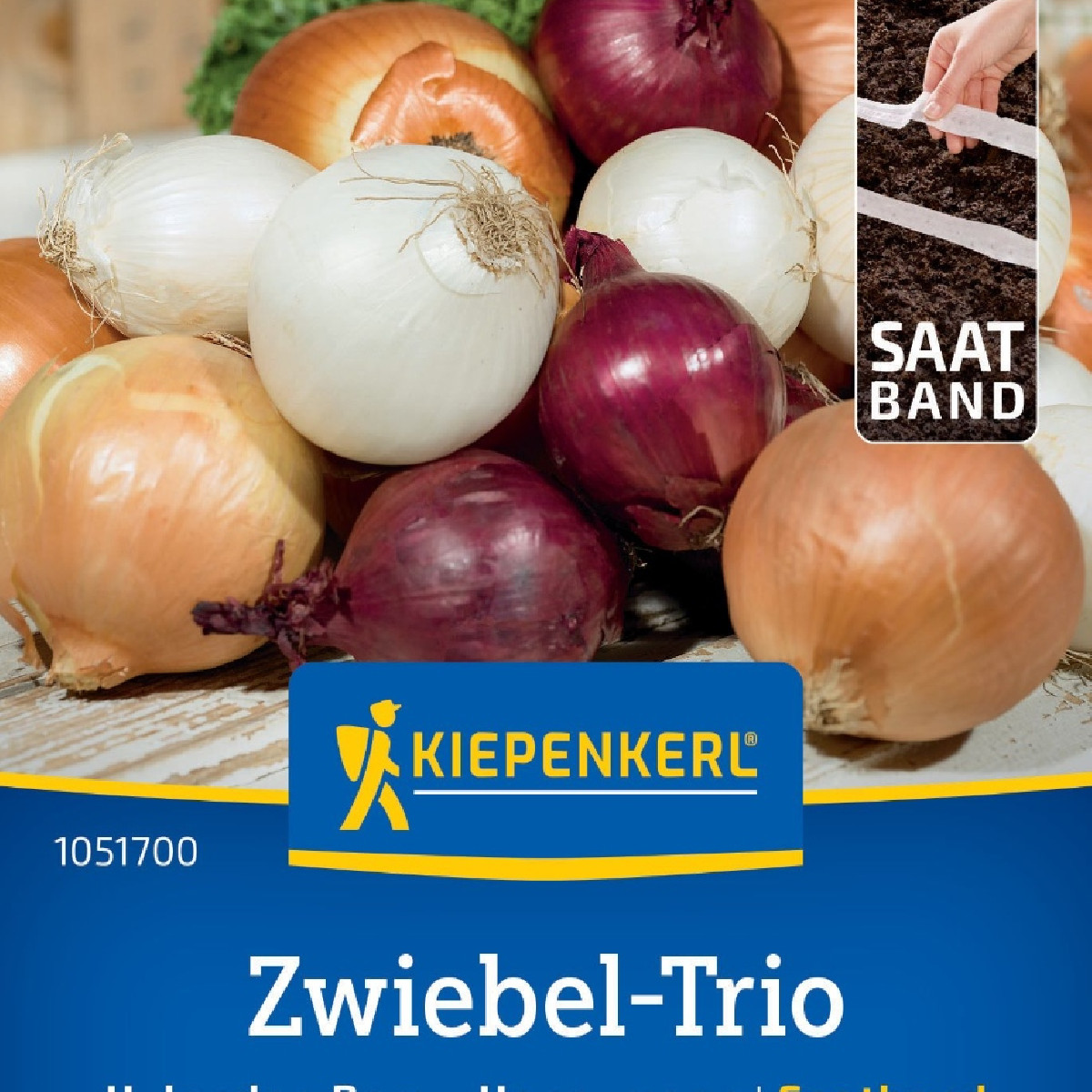 Cibule trio Hylander, Romy a Honeymoon - výsevný pásek - 1 ks