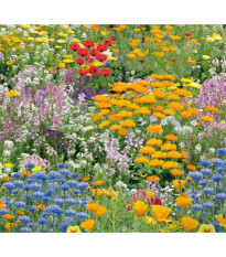 Květinová směs - Nízké letní květy - semena Kiepenkerl - 1 ks