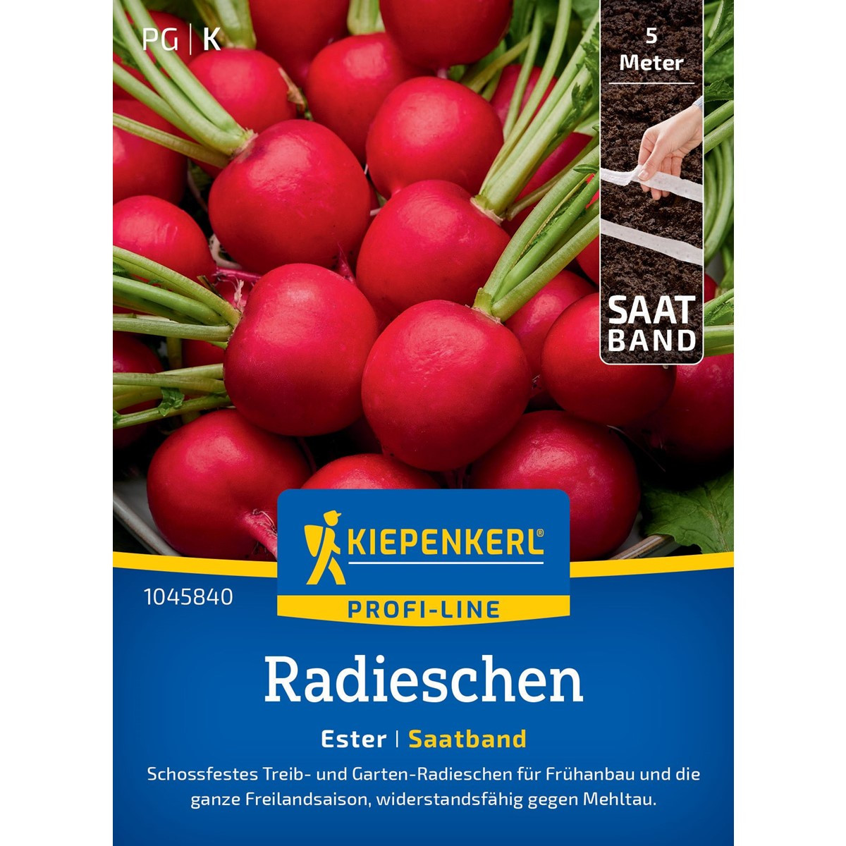 Semena ředkvičky Ester F1 - výsevný pásek - 5 m
