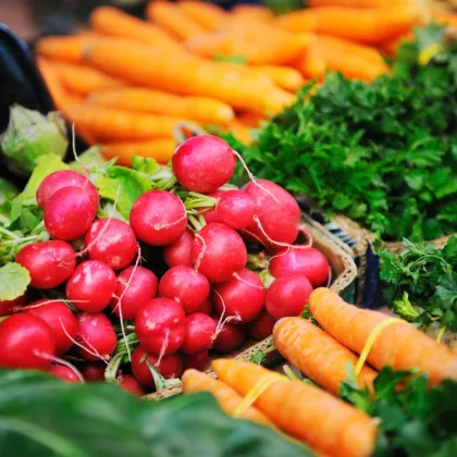 Semena mrkve a ředkvičky - výsevný pásek - 5 m