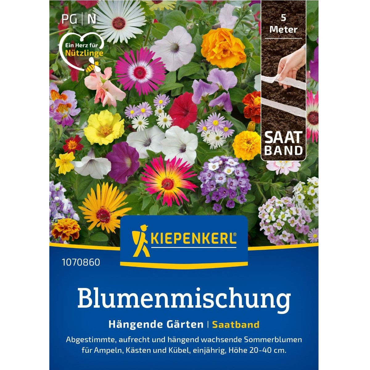 Směs vzpřímených a převislých květů - výsevný pásek - 5 m