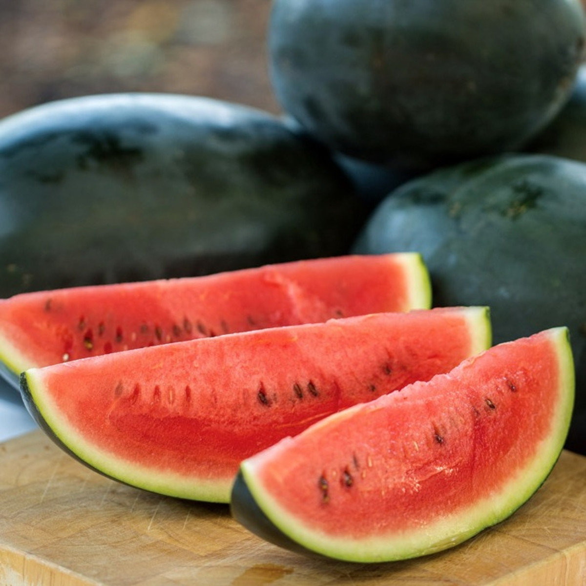 Meloun vodní Little Darling F1 - Citrullus lanatus - semena melounu - 5 ks