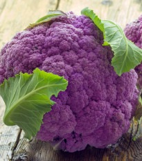 Květák Di Sicilia Violetto - Brassica oleracea - semena květáku - 30 ks