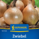 Cibule Exhibition - Allium cepa - semena cibule - 100 ks