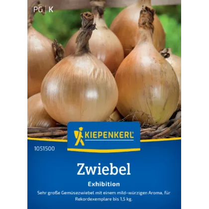 Cibule Exhibition - Allium cepa - semena cibule - 100 ks