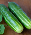 Okurka salátová Marketmore - Cucumis sativus - semena okurky - 10 ks