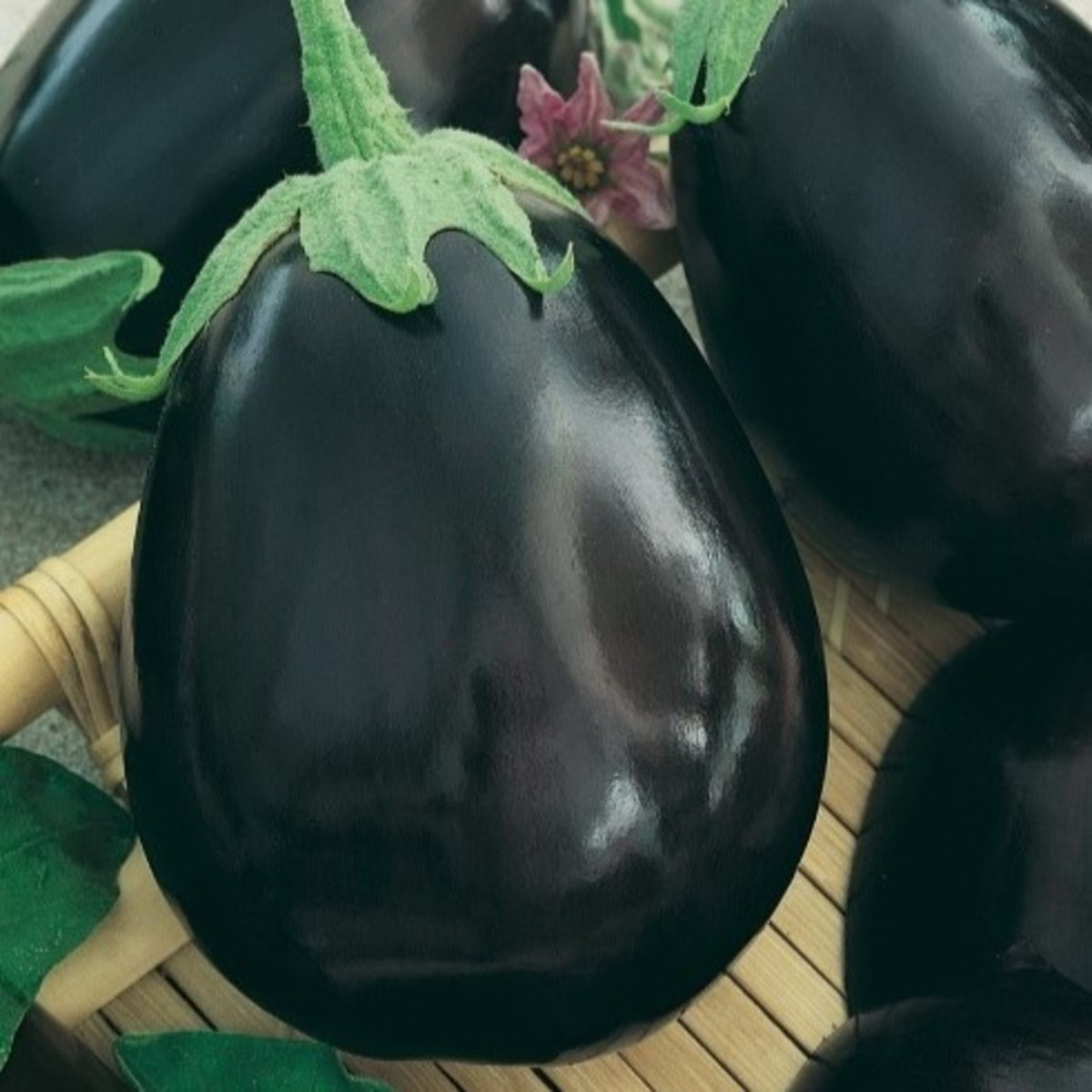 Lilek Krasan - Solanum melongena - semena lilku - 100 ks