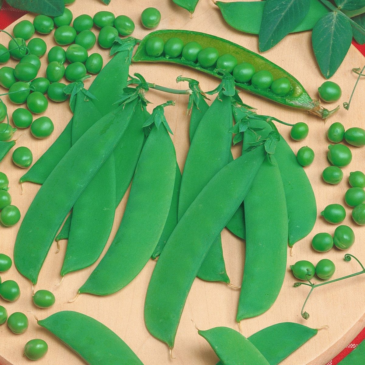 Hrách Delikata - Pisum sativum - semena hrachu - 40 ks