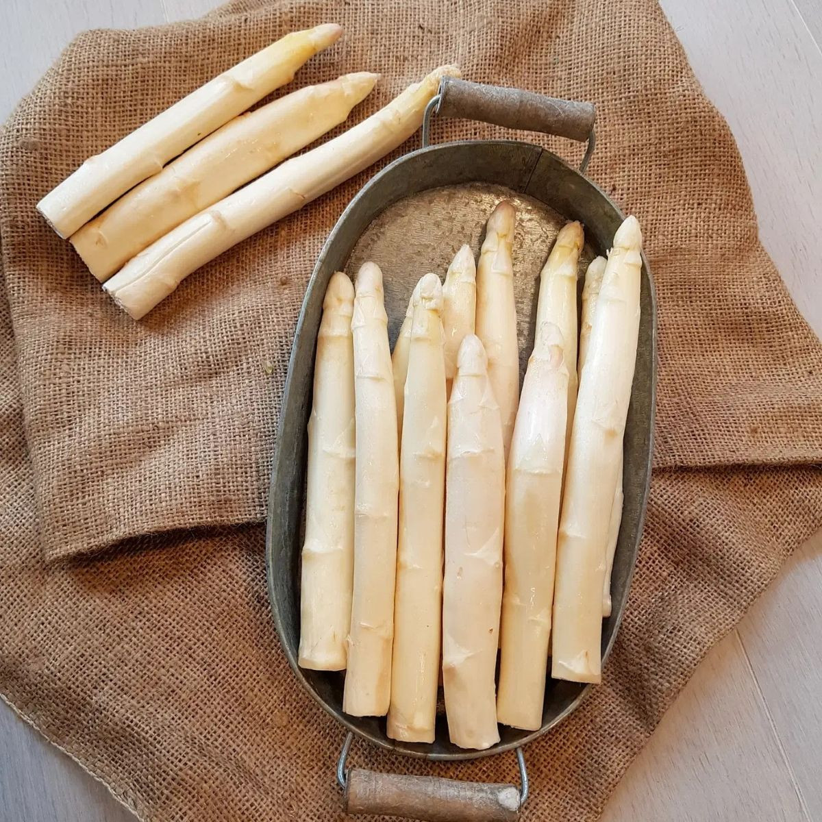 Chřest Gijnlim bílý - Asparagus officinalis - prostokořenné sazenice chřestu - 2 ks