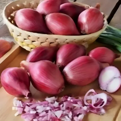 Cibule šalotka Schelia jarní červená - Allium cepa L. - semena cibule - 150 ks