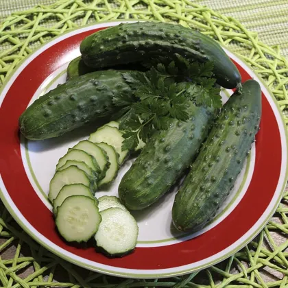 Okurka Patio Snacker F1 - vhodné pro balkóny - Cucumis sativus - semena okurky - 8 ks
